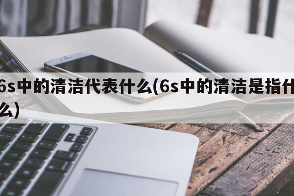 6s中的清洁代表什么(6s中的清洁是指什么)